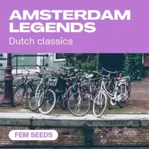 Amsterdam Legends cannabis seed pack featuring Dutch classic strains with a backdrop of bicycles near an Amsterdam canal.