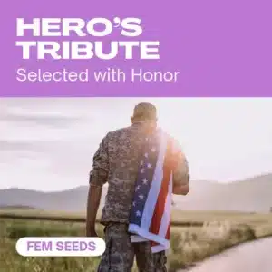 Hero’s Tribute cannabis seed pack selected with honor, featuring a soldier carrying the American flag across a countryside path