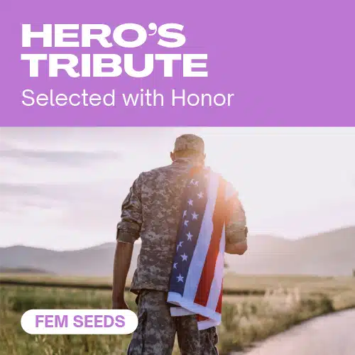 Hero’s Tribute cannabis seed pack selected with honor, featuring a soldier carrying the American flag across a countryside path