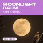 Moonlight Calm cannabis seed pack aimed at nighttime serenity, highlighted by a full golden moon against a dark sky