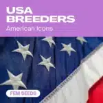 USA Breeders cannabis seed pack celebrating American icons with a detailed close-up of the United States flag