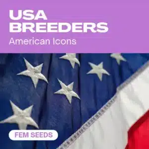USA Breeders cannabis seed pack celebrating American icons with a detailed close-up of the United States flag