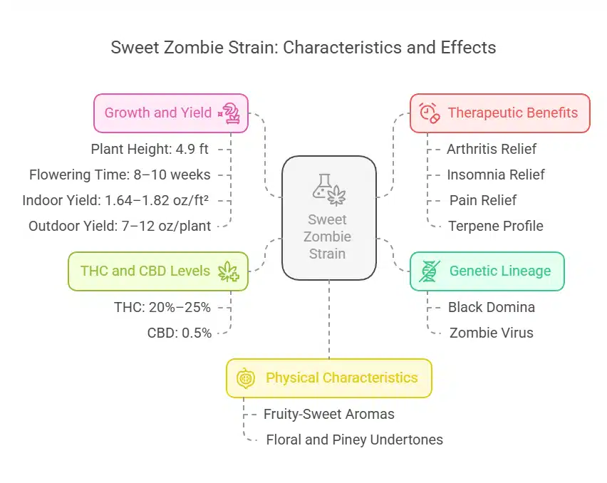 Infographic outlining Sweet Zombie Weed Strain traits like genetics, THC content, aroma, and therapeutic effects
