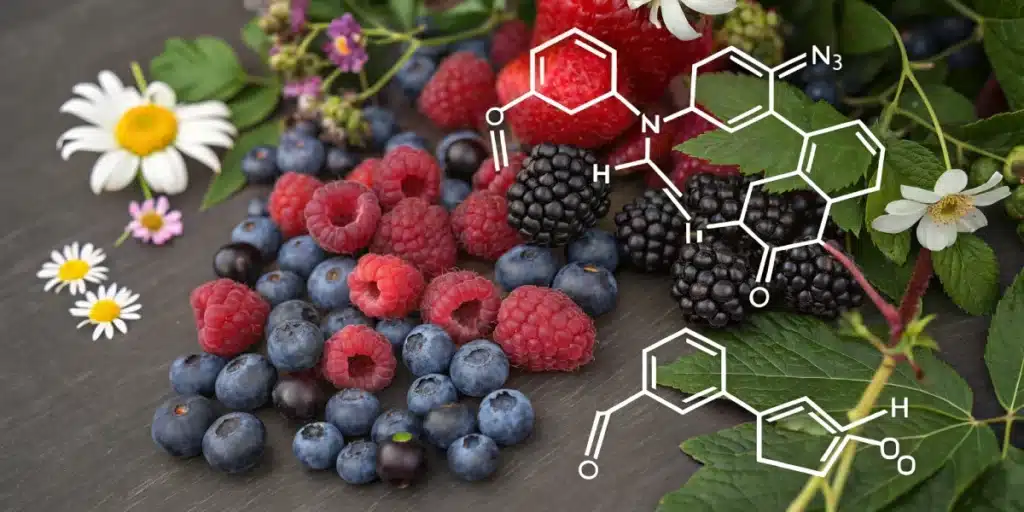 Berries and flowers with molecular structures representing the fruity and floral terpene profile of Sweet Zombie Weed Strain