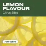 TB-lemon-flavour cannabis seed pack delivering citrus bliss aromas, highlighted by bright lemon slices in the background.