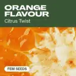 TB-orange-flavour cannabis seed pack featuring zesty citrus twist strains with a close-up view of juicy orange pulp.