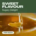 TB-sweet-flavour cannabis seed pack offering sugary delight strains, shown with a luscious honey swirl in golden light.