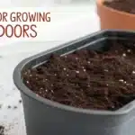 Fresh potting mix in black plastic container prepared for cannabis cultivation, illustrating best soil for growing weed indoors.