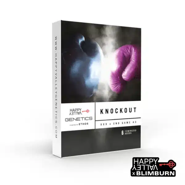 Knockout seed box with blue and pink boxing gloves colliding in smoky air.