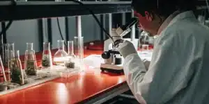 Scientist in lab coat and gloves looking into a microscope at plant samples on a red lab bench.