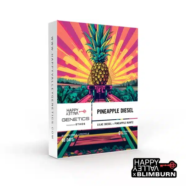 Pineapple Diesel seed box with pineapple on a train and bright sunset background.