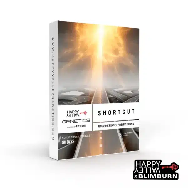 Shortcut seed box with glowing light beam over highway in sci-fi atmosphere.