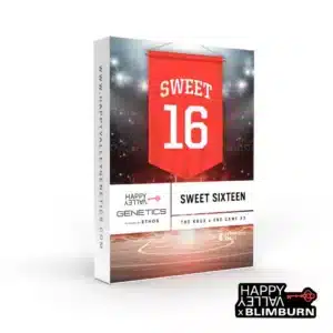 Sweet Sixteen seed box with red sports banner marked 16 over a stadium court.