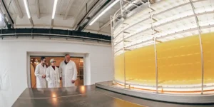 Scientists inspecting large-scale cannabis cultivation chamber with LED lighting.
