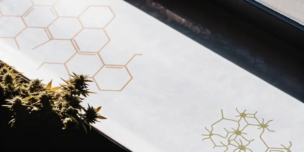 Cannabis plant with long serrated leaves under diffused sunlight in a greenhouse