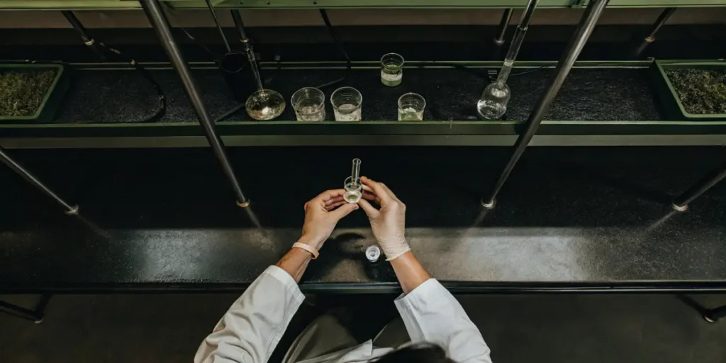 Macro visualization of enzymes interacting in a cannabis molecular structure simulation.