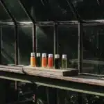 Bottles of colored nutrient solutions lined up on a greenhouse windowsill