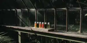 Bottles of colored nutrient solutions lined up on a greenhouse windowsill