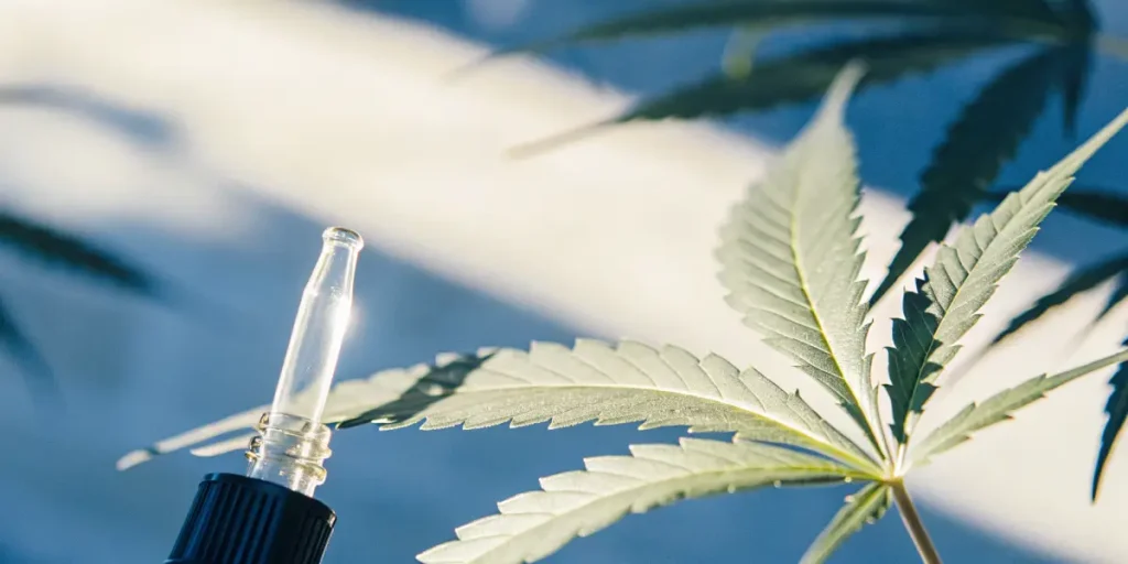Macro photograph of a cannabis leaf with a dropper dispensing liquid onto the stem, with a blue background.