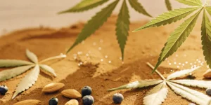 Close-up of vibrant green cannabis leaves on a sandy surface with almonds and blueberries, under a warm glow.