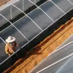 Overhead shot of an agricultural worker in a hat and jacket, tending to plants in a greenhouse with sandy ground.