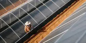 Overhead shot of an agricultural worker in a hat and jacket, tending to plants in a greenhouse with sandy ground.