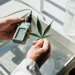 Close-up of a scientist's hands in a lab coat, holding a cannabis leaf and a black meter over a tray of water, with beakers in background.