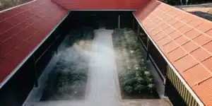 Aerial view of a cannabis plantation with mist and red-roofed buildings.