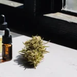 Close-up of a fresh cannabis bud and two oil bottles on a windowsill.