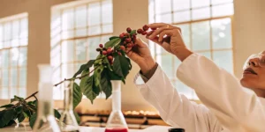 A scientist in a lab coat examining a sprig of red berries.