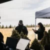 Blimburn team analyzing cannabis harvest data using laptops under a tent in the field.