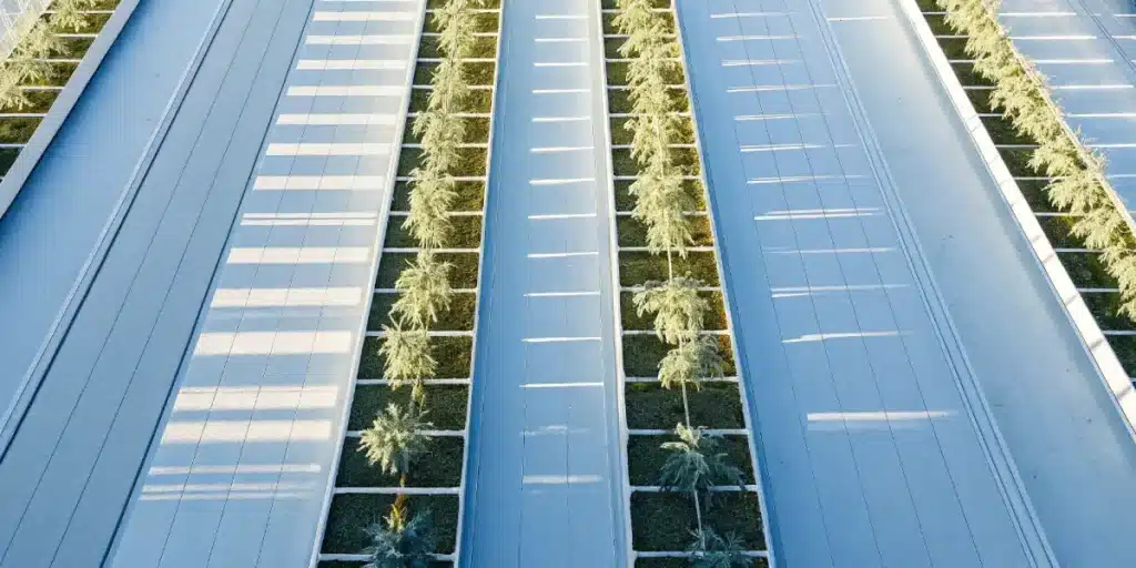 overhead view of a modern cannabis greenhouse farm at sunrise