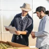 Two cannabis farmers reviewing documents beside boxes of harvested buds in a greenhouse.