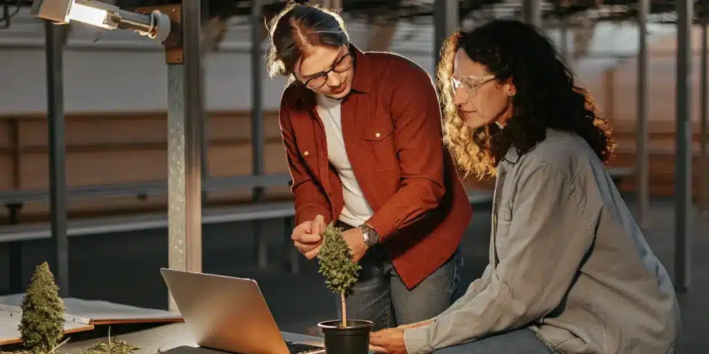 Two cannabis researchers studying a plant under artificial light with a laptop on a lab table.