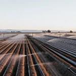 Aerial view of a cannabis farm with irrigation systems at sunrise.