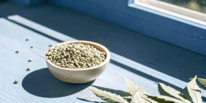 Bowl of cannabis seeds on a blue table under sunlight.