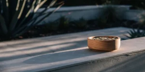 Wooden bowl filled with cannabis seeds on a stone ledge outdoors.