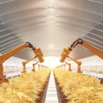robotic arms tending cannabis plants inside automated greenhouse