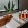 scientist holding cannabis leaf with lab bottles of oil in background