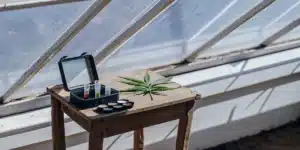cannabis leaf and portable testing kit on a wooden table in greenhouse