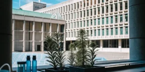 Potted cannabis plants displayed in a modern public building courtyard with architectural structures in the background.
