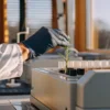 scientist placing cannabis seedling into laboratory testing equipment