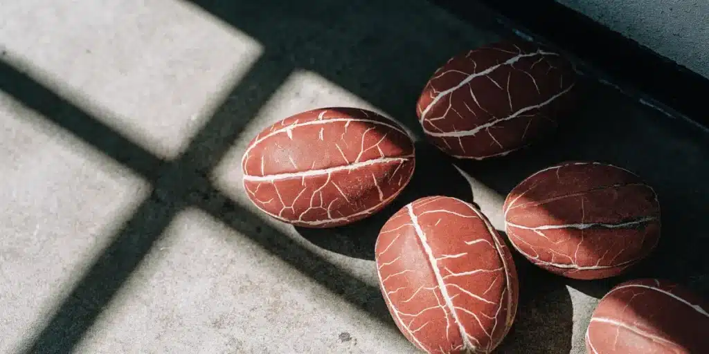 Macro view of cannabis seeds with visible vein-like patterns.