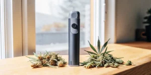 modern cannabis vaporizer surrounded by dried cannabis buds on wooden table