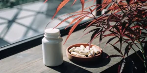 Feuilles de cannabis rouges éclairées par la lumière naturelle à côté d’un bol de compléments naturels en gélules.