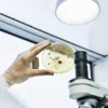 Scientist examining a petri dish with microbial growth under laboratory lighting.